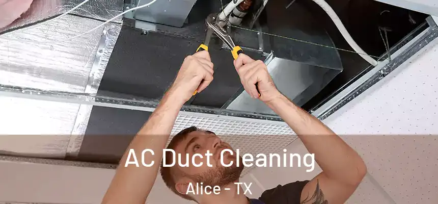  AC Duct Cleaning Alice - TX