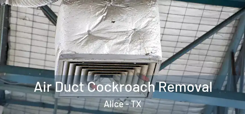  Air Duct Cockroach Removal Alice - TX