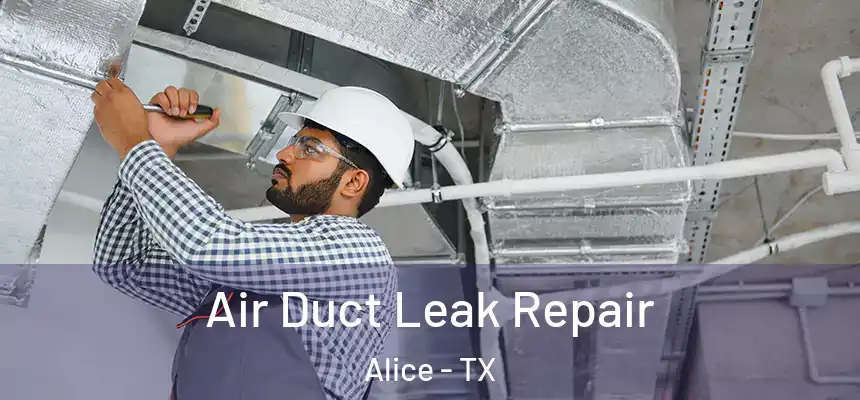  Air Duct Leak Repair Alice - TX