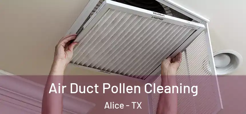  Air Duct Pollen Cleaning Alice - TX