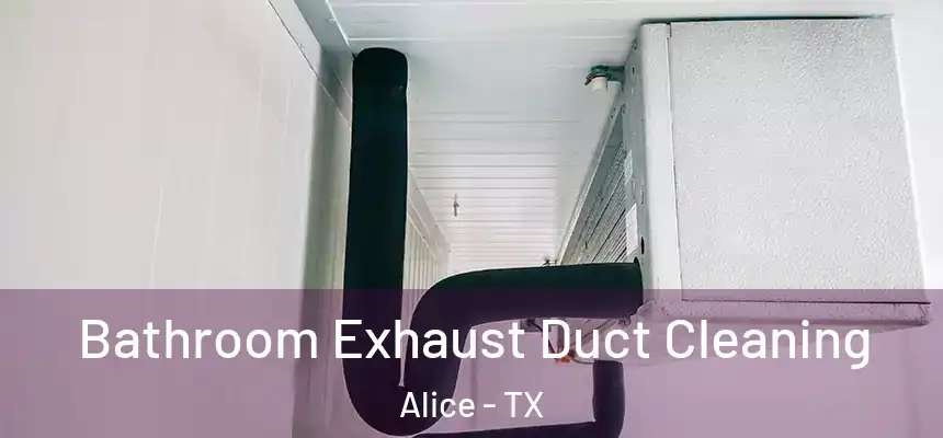  Bathroom Exhaust Duct Cleaning Alice - TX