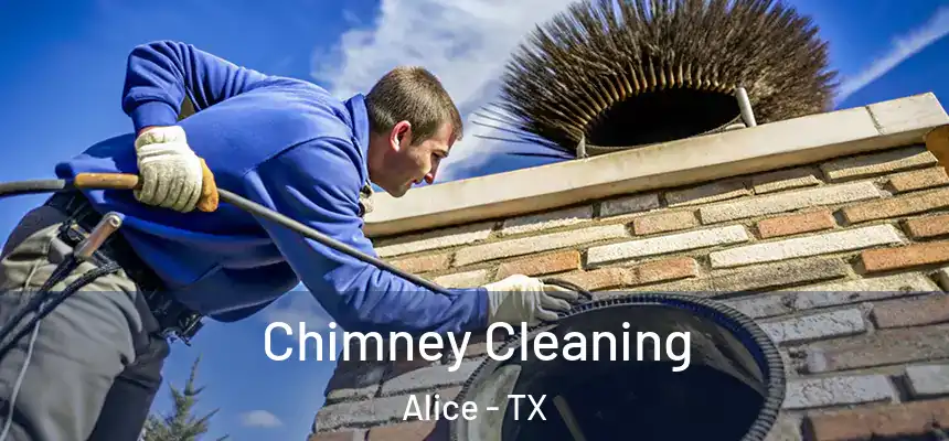 Chimney Cleaning Alice - TX
