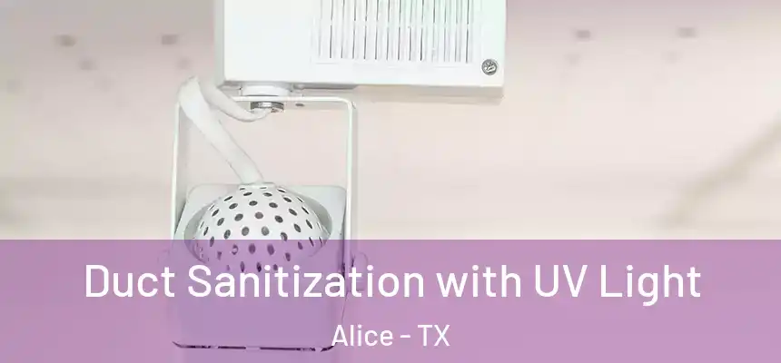  Duct Sanitization with UV Light Alice - TX