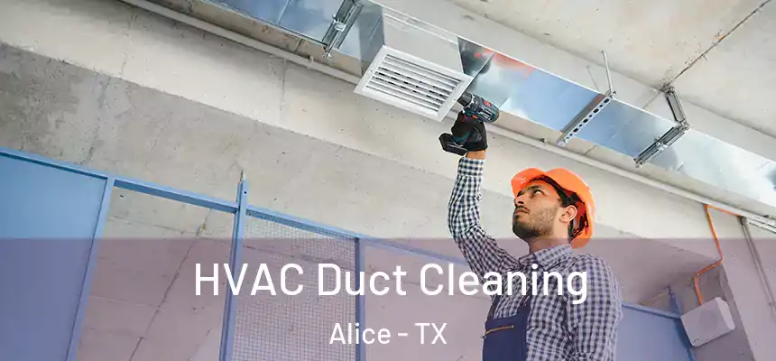 HVAC Duct Cleaning Alice - TX