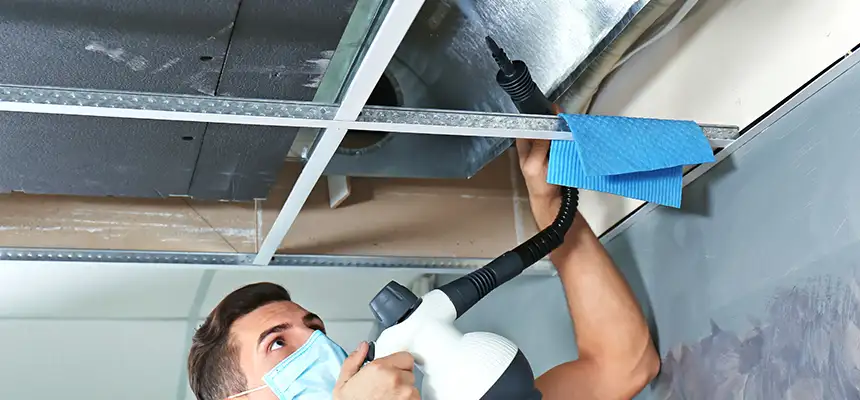 Our Air Duct Rodent Removal Services in Alice, TX