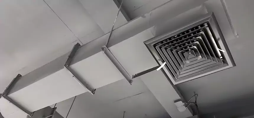 Our Pest Removal From Ducts Services in Alice, TX