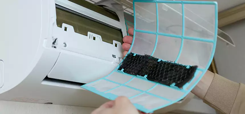 Gentle Ductwork Odor-Control Pet Dander Duct Cleaning in Alice, TX