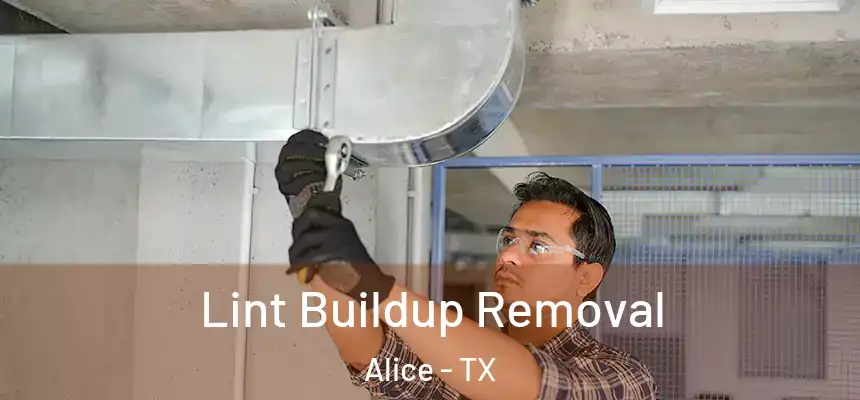  Lint Buildup Removal Alice - TX