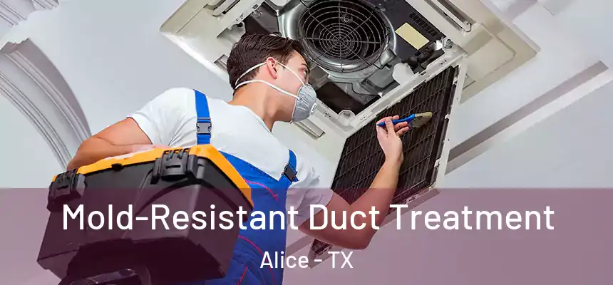  Mold-Resistant Duct Treatment Alice - TX