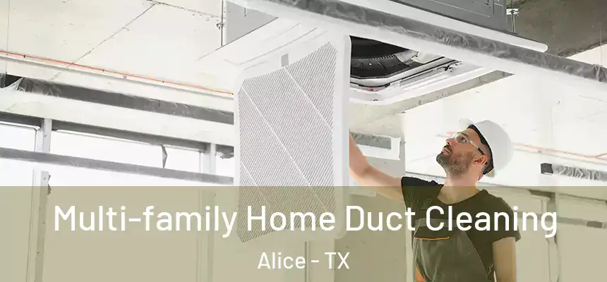  Multi-family Home Duct Cleaning Alice - TX
