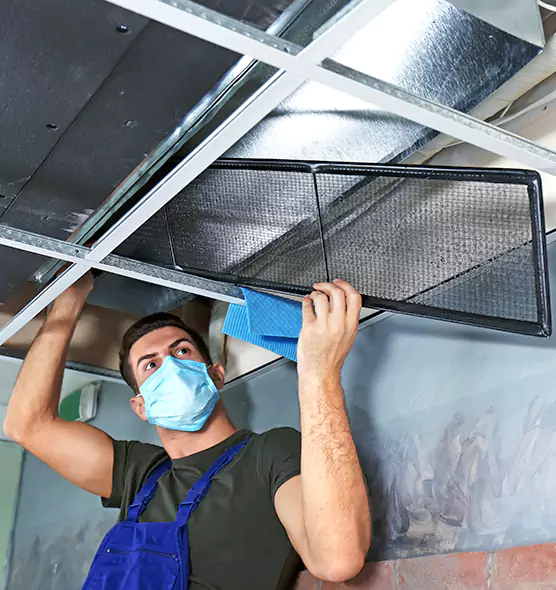 About Air Duct Bacteria Removal in Alice