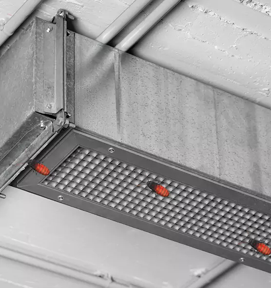 About Air Duct Cockroach Removal in Alice, TX