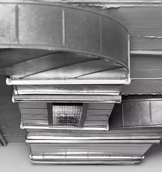 Professional Air Duct Pest Removal in Alice, TX