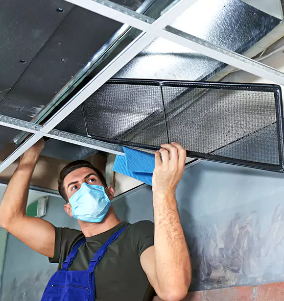 Professional Air Duct Pollen Cleaning in Alice, TX