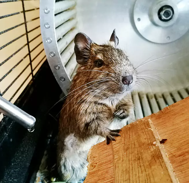 Why Homeowners & Businesses Trust Us Alice, TX