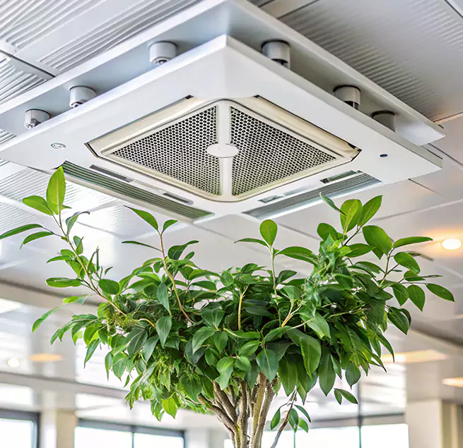 Why Homeowners & Businesses Trust Us in Alice, TX?