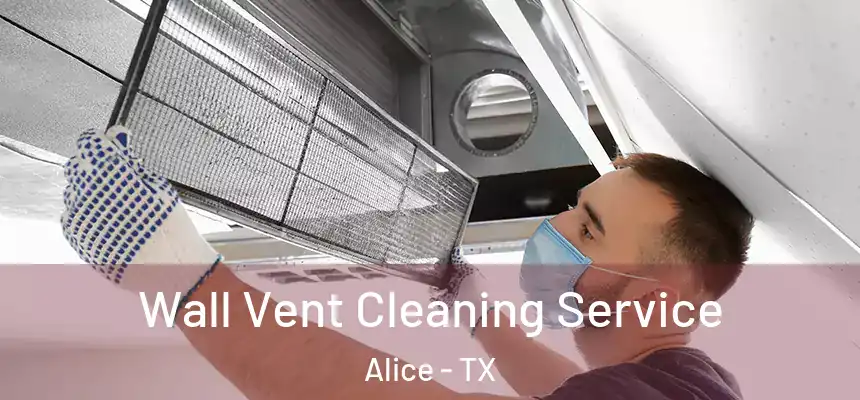  Wall Vent Cleaning Service Alice - TX